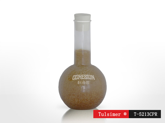 T-5213CPR.jpg T-5213CPR.jpg